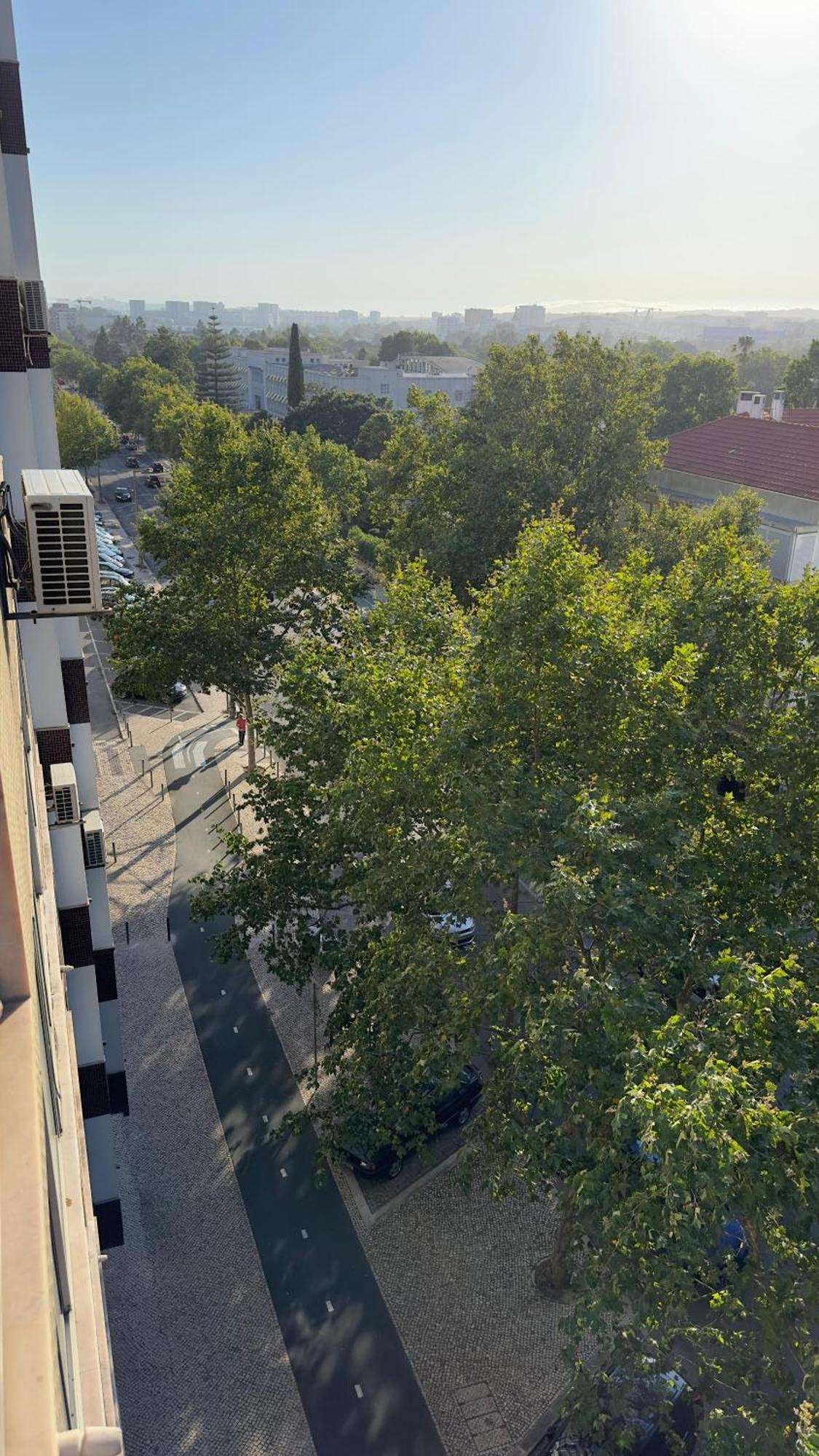 Room Alvalade Lisboa المظهر الخارجي الصورة